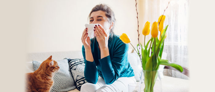 Allergies and sensitivities