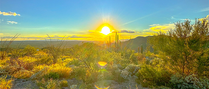 sun set over desert landscape