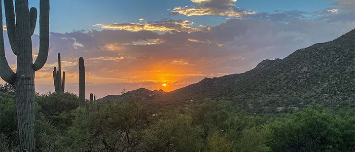 Tucson Desert Sunset